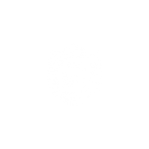 noun_Shield_165018 protection (1) noun_Shield_165018 protection (1)